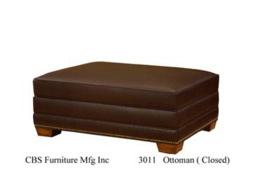 Picture of 3011 OTTOMAN