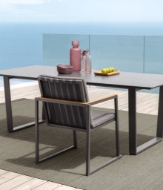 Picture of ALABAMA//ALU DINING TABLE 220×100